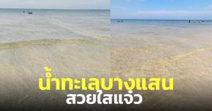 ไวรัล! ภาพชายหาดบางแสน จ.ชลบุรี น้ำทะเลสวยมาก ใสแจ๋วแล้ว