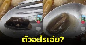 ตัวอะไรเอ่ย? ลักษณะคล้ายทาก พบอยู่ในต้มยำไก่ร้านเด็ด จ.จันทบุรี (ชมคลิป)