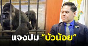 "วราวุธ" แจงปมกอริลลาบัวน้อย พร้อมฝากสวนสัตว์ทั่วประเทศดูแลสัตว์ให้ดี
