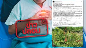 ข่าวปลอม! ย่านางแดงช่วยรักษาโรคกรดไหลย้อน
