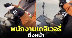 ทาสหมาใจละลาย! พนักงานดีลิเวอรีคนใหม่ ดึงหน้าใส่แต่น่ารัก (ชมคลิป)