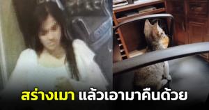โรงแรมประกาศตามหาน้องแมว! หลังโดนสาวมีอาการมึนเมาอุ้มติดมือไป