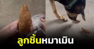 ลูกชิ้นหมาเมิน! ฝากถึงแม่ค้า ใจเขาใจเรา ขายของไม่มีคุณภาพใครจะกลับมาอีก