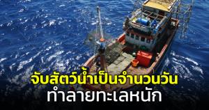 นายกสมาคมรักษ์ทะเลไทยไม่เห็นด้วย ให้โควตาการจับสัตว์น้ำเป็นจำนวนวัน ชี้ทำลายทะเลหนักขึ้น