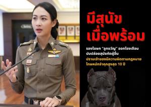 ตร.เตือนปล่อยสุนัขกัดคน เจ้าของมีความผิดตามกฎหมาย โทษหนักคุก 10 ปี