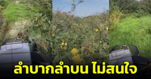 ทางสุดโหด! ไปรษณีย์หนุ่มเผยคลิปส่งของให้ลูกค้า หนักหนาแค่ไหนก็ไปส่ง