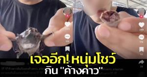 ไร้สามัญสำนึก! หนุ่มโชว์กิน "ค้างคาว" ชาวเน็ตซัดคอนเทนต์หิวแสงไม่รับผิดชอบต่อสังคม