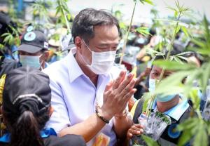“อนุทิน” ไม่คืนกัญชาเป็นยาเสพติด ชูประโยชน์ไม่ทำใครตาย ชี้ ค้านไม่ทำการบ้านหวั่น ภท.คะแนนพุ่ง