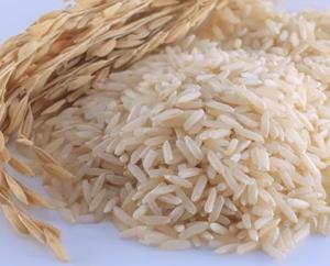 “คลัง-พาณิชย์” ผ่าทางตันเพดานหนี้ หั่นงบประกันรายได้ข้าวเหลือ 6.6 หมื่นล้าน