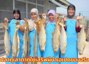 โฆษกรัฐโต้ดรามา “ปลากุเลาตากใบปลอม” เสิร์ฟผู้นำเอเปก ยันซื้อจริงร้านป้าอ้วนตอนนี้ขายดีสุดๆ