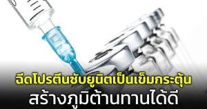 "หมอยง" เผยผลการศึกษา ฉีดโปรตีนซับยูนิตเป็นเข็มกระตุ้น สร้างภูมิต้านทานโควิดได้ดี