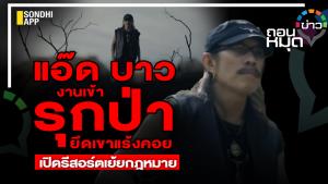 “แอ๊ด บาว” งานเข้า รุกป่ายึดเขาแร้งคอย เปิดรีสอร์ตเย้ยกฎหมาย