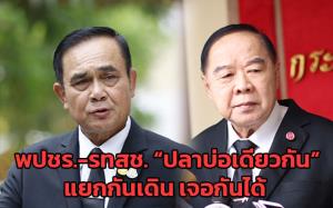 พปชร.-รทสช. “ปลาบ่อเดียวกัน” แยกกันเดิน เจอกันได้