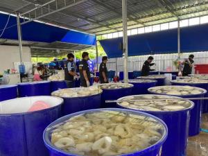 ตรวจร้าน "หมูกระทะ" ตามรอย "หมูฟอร์มาลีน" จากโรงงานเป็นอำนาจท้องถิ่น หากพบขายจริงมีความผิดด้วย