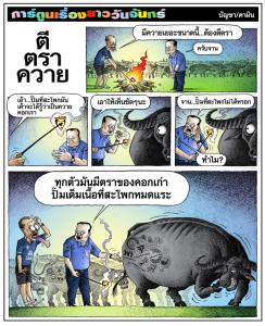 ตีตราควาย