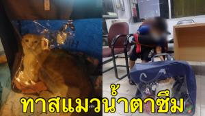 ชาวเน็ตให้กำลังใจ! ด.ช.9 ขวบ หนีออกจากบ้านพร้อมแมว เจ้าหน้าที่แจ้งยายรับกลับบ้าน