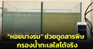 “อาจารย์เจษฎ์” ไขข้อสงสัย “หอยนางรม” ช่วยดูดสารพิษ กรองน้ำทะเลใสได้จริง