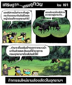 กิจกรรมใหม่ในอุทยาน