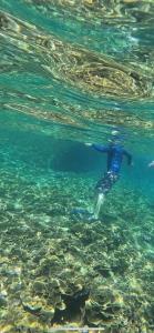 ปัญหาซ้ำซาก! นักท่องเที่ยวดำน้ำตื้น แต่กลับเหยียบปะการังหมู่เกาะสิมิลันเสียหาย