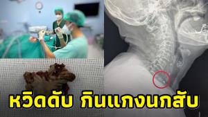 ผอ.โรงพยาบาลประจวบฯ เตือนกินแกงนกสับ ระวังกระดูกติดคอ ทำคนไข้หวิดดับ