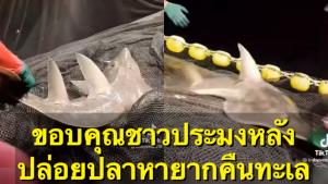 “ดร.ธรณ์” ขอบคุณชาวประมงหลังลงอวนจับปลาหายากได้แล้วปล่อยคืนลงทะเล (ชมคลิป)