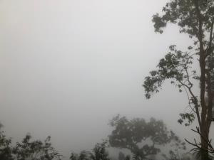 หนาวแน่? 16-19 ม.ค.นี้ กรมอุตุฯ ออกประกาศฉบับ 7 อีสานลด 6 องศาฯ เหนือ-กทม.ลง 4 องศาฯ
