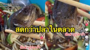 ผงะ! สาวเตือนภัย หลังสั่งส้มตำปูปลาร้า แต่เจอปลาหมอสดตาใสปิ๊ง (ชมคลิป)