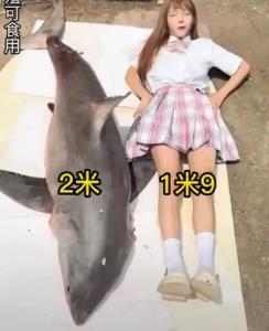 จีนจัดหนัก! ปรับ 6 แสนอินฟลูฯ สาว ทำคอนเทนต์เปิบพิสดารโซ้ย 'ฉลามขาว' หายาก
