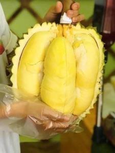 “พาณิชย์” ขึ้นทะเบียน GI ใหม่ “ทุเรียนสะเด็ดน้ำยะลา”