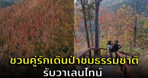 อุทยานคลองลานชวนคู่รักพิสูจน์รักแท้ เดินป่าชมธรรมชาติ 750 เมตรรับวาเลนไทน์
