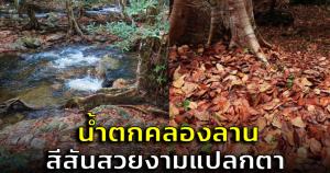 สุดว้าว! "น้ำตกคลองลาน" ภาพความสวยงามสีสันแปลกตาในฤดูใบไม้ร่วง
