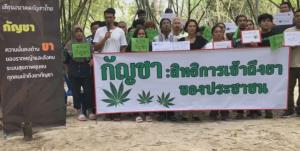 เครือข่ายกัญชาแถลงจี้ “แพทย์ชนบท-3 พรรคการเมือง” รับผิดชอบ พ.ร.บ.กัญชาฯ ไม่ผ่าน ส่งผลเสียมหาศาล จ่อขับเคลื่อนเสนอร่าง กม.ฉบับประชาชน 29 มิ.ย.