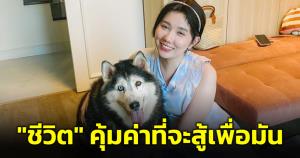 "หมอลูกหมู" สู้มะเร็งระยะ 4 จนชนะ ให้กำลังใจผู้ป่วยมะเร็ง คำว่า "ชีวิต" คุ้มค่าที่จะสู้เสมอ