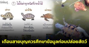save น้องเต่า! เตือนสายบุญควรศึกษาข้อมูลก่อนปล่อยสัตว์ ชี้เต่าบางชนิดว่ายน้ำไม่ได้ และอาจจมน้ำตาย
