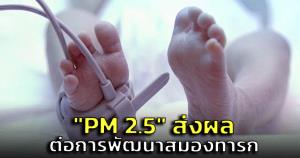 หมอปอดเตือน! ผลของฝุ่น PM 2.5 สูง ส่งผลต่อการพัฒนาสมองทารก
