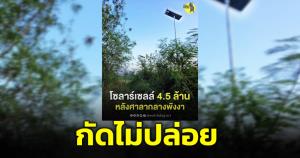 กัดไม่ปล่อย! "ปฏิบัติการหมาเฝ้าบ้าน" แฉ จ.พังงาอีก โซลาร์เซลล์  83 ต้น กว่า 4 ล้าน ถูกปล่อยทิ้งร้าง