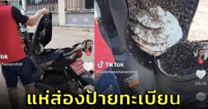 โซเชียลไม่พลาด! ส่องเลขทะเบียนหลังพบผึ้งทำรังนับ 100 ตัวในเบาะรถมอ'ไซค์ป้ายแดง