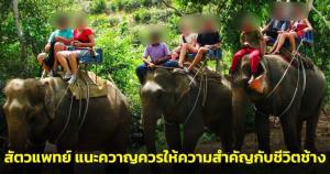 สัตวแพทย์ห่วง สุขภาพช้างถูกใช้งานให้นักท่องเที่ยวขี่หลังจนกระดูกยุบ แนะควาญควรให้ความสำคัญต่อชีวิตช้าง