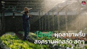 “โอ้กะจู๋” ผุดสาขาพรึ่บ สงครามผักสลัด สดๆ : gotomanager 360
