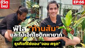 ฟิโล "ก้านส้ม"และไม้แปลกไม้หายาก ช่วงราคาแรงนับใบขายเป็นแสน! ธุรกิจที่ใช่ของ "จอม ศรุต" : SMEs Manager