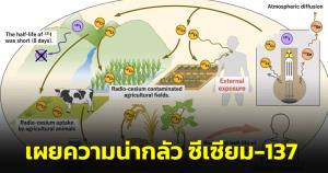 "นพ.สมรส" เผยความน่ากลัว ซีเซียม-137 ไปไกลถึงพันกิโลฯ ใช้เวลาย่อยสลายเกิน 100 ปี