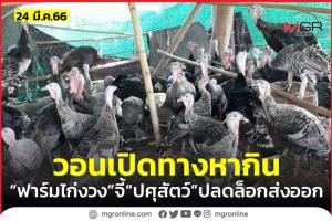 “ผู้เลี้ยงไก่งวง” ยื่น 4 ข้อเสนอเปิดทางทำมาหากิน จี้ “ก.ปศุสัตว์” เพิ่มไก่งวงในรายการโรงเชือดเพื่อส่งออกได้