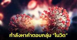 "หมอยง" เผยกำลังหาคำตอบกลุ่ม "โนวิด" หรือผู้ที่ไม่เคยติดเชื้อ "โควิด-19" มียีนอะไรต้านไวรัสหรือไม่