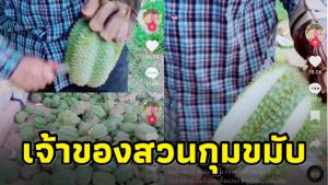 เจ้าของสวนทุเรียนงง! ปลูก 4 ปี ลูกสวย แต่ไร้เมล็ด-ไร้เนื้อ