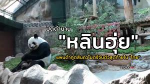 ปิดตำนาน "หลินฮุ่ย" แพนด้าทูตสันถวไมตรีจีนตัวสุดท้ายใน "ไทย" : ข่าวเด็ดแมเนเจอร์