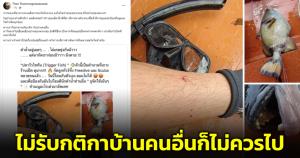 “ดร.ธรณ์” สอน ลงทะเลไปคือบ้านของปลา ทุกที่มีกติกา ไม่รับกติกาบ้านคนอื่นก็ไม่ควรไป