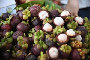 ชาวสวนเฮ! ราคามังคุดพุ่งกระฉูด กิโลกรัมละ 161 บาท สูงสุดในประวัติศาสตร์