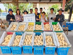 “พาณิชย์พิษณุโลก” นำผู้ประกอบการซื้อมะม่วงล็อตสุดท้ายที่บ้านหนองปรือ กิโลกรัมละ 18 บาท