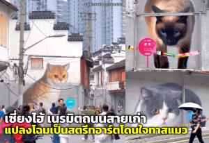 เซี่ยงไฮ้ เนรมิตถนนสายเก่า แปลงโฉมเป็นสตรีทอาร์ตโดนใจทาสแมว