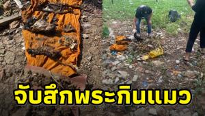 สุดสลด! จับสึกพระใน จ.ฉะเชิงเทรา ฆ่า-กินแมวกว่า 80 ตัว